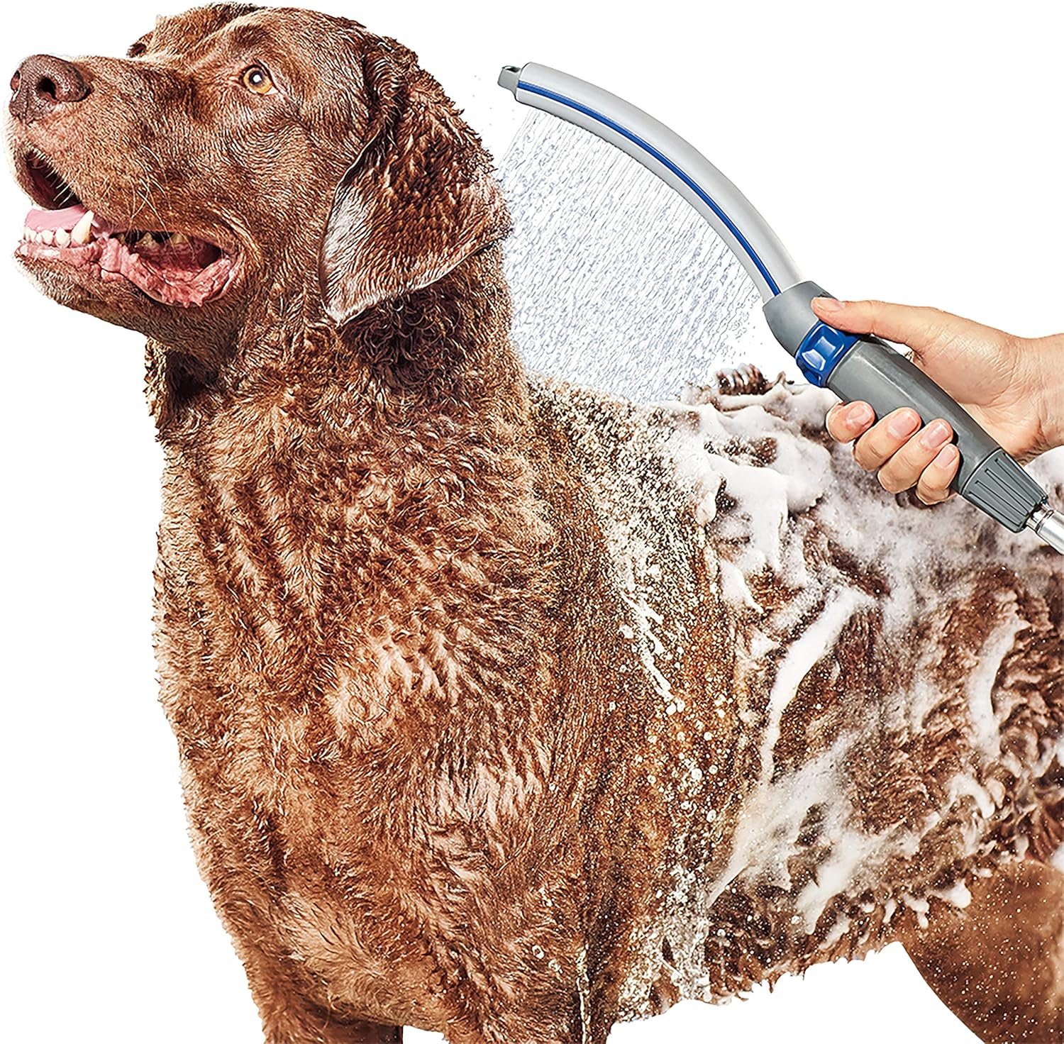 Dog Shower Sprayer with 8ft Hose – Quick & Easy Indoor/Outdoor Bathing Tool